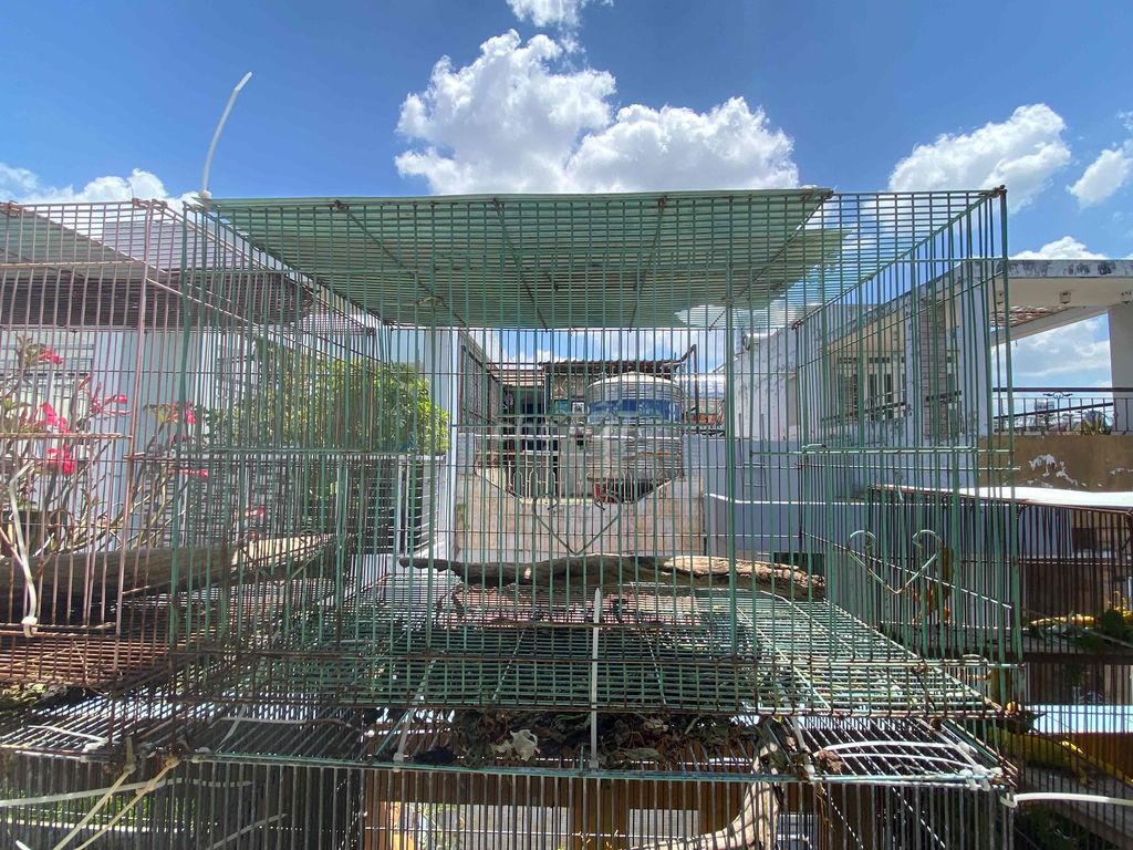 Thanh lý lồng 60x40. Mua bán Phụ kiện, Thức ăn, Dịch vụ tại Quận 10 Tp Hồ Chí Minh được đăng bởi Trọng hình 1