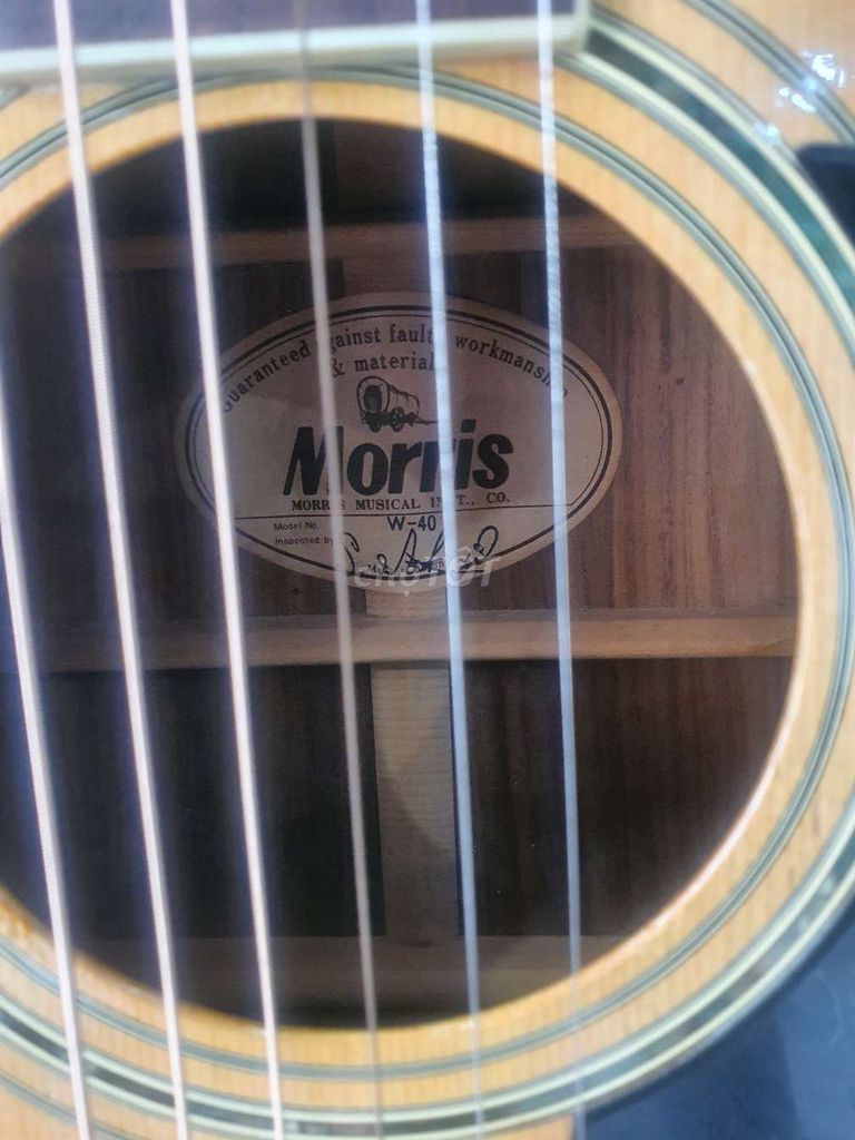 Đàn guitar Morris W40 Gỗ Vân gỗ. Mua bán Nhạc cụ tại Quận 8 Tp Hồ Chí Minh được đăng bởi Nhon,  hình 1
