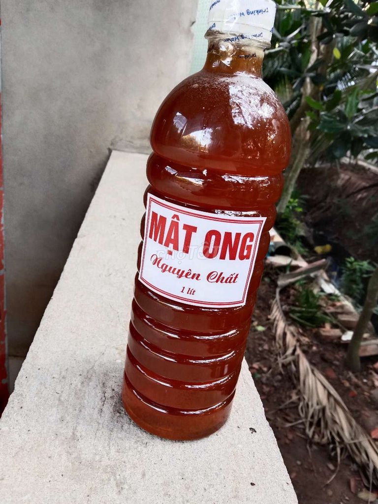Mật ong hoa nhãn nguyên chất 1 lít. Mua bán Đồ ăn, thực phẩm và các loại khác tại Quận 6 Tp Hồ Chí Minh được đăng bởi bến tre quê tôi hình 1