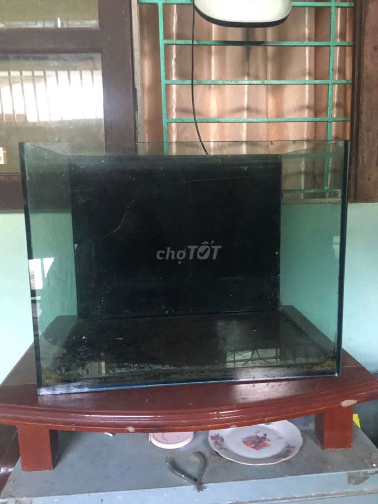 Bể cá cảnh Kính 50x40x35 cm. Mua bán Phụ kiện, Thức ăn, Dịch vụ tại Thành phố Thanh Hóa Thanh Hóa được đăng bởi Duc Thế hình 1