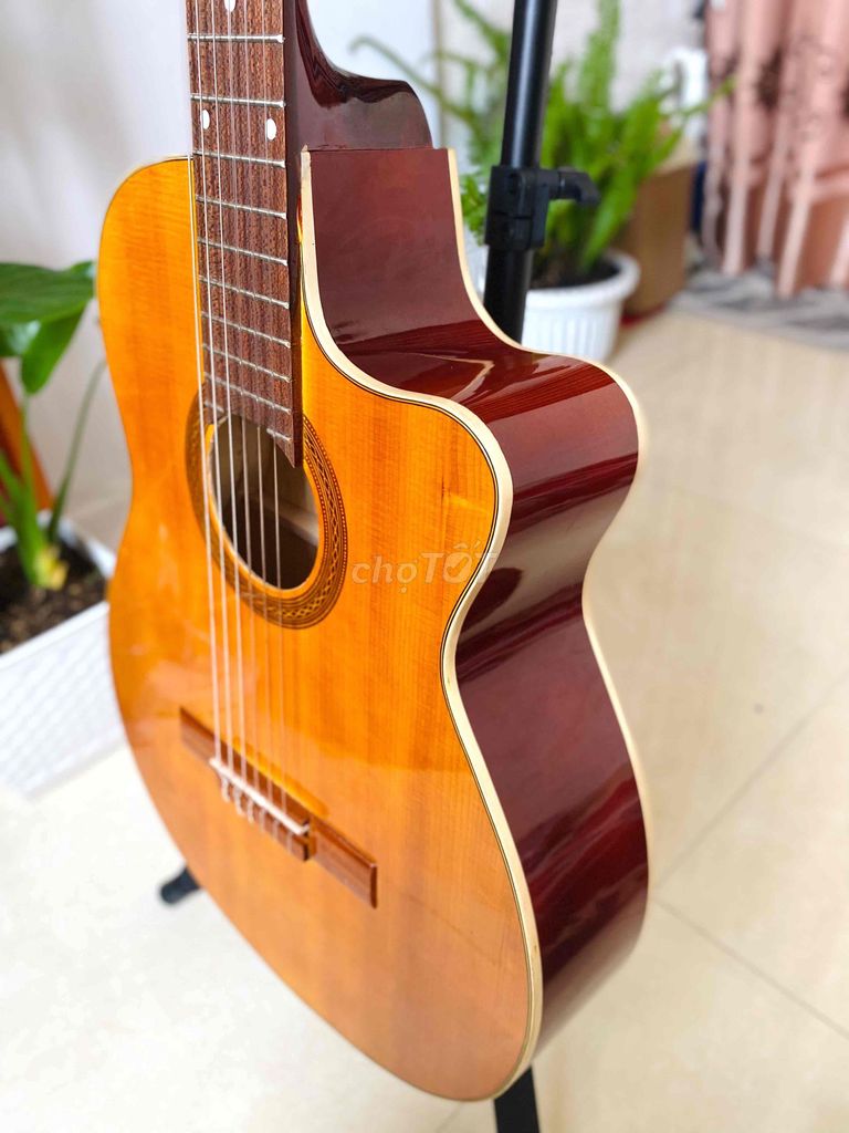 Đàn guitar classic gỗ thịt Mới 100%. Mua bán Nhạc cụ tại Quận Tân Phú Tp Hồ Chí Minh được đăng bởi GUITAR GIÁ TỐT TÂN PHÚ hình 1