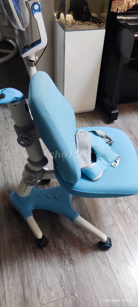 Ghế chống gù Xanh dương. Mua bán Bàn ghế tại Quận Cầu Giấy Hà Nội được đăng bởi minhcuong hình 1