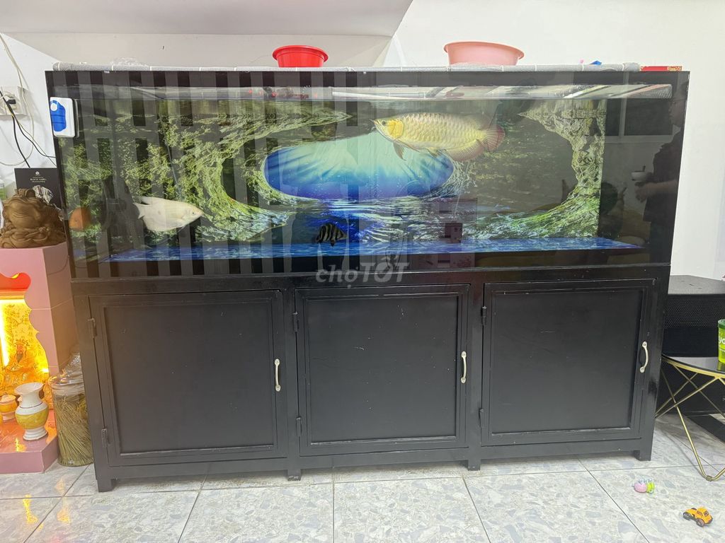 Hồ cá cảnh  210x70x70cm. Mua bán Phụ kiện, Thức ăn, Dịch vụ tại Quận 8 Tp Hồ Chí Minh được đăng bởi Anh Huy hình 1