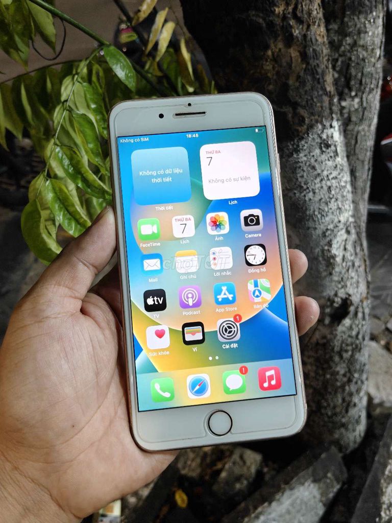 Apple iPhone 8 Plus 64GB Vàng hồng Vân tay Zin. Mua bán Điện thoại tại Quận Liên Chiểu Đà Nẵng được đăng bởi Công Lực hình 1