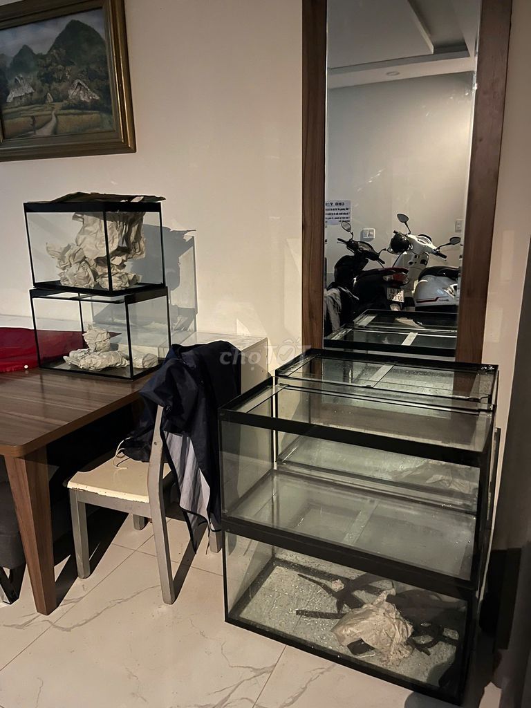 Bể cá Kính 80x40x40cm. Mua bán Phụ kiện, Thức ăn, Dịch vụ tại Quận 7 Tp Hồ Chí Minh được đăng bởi Truc Duyen Bui hình 1