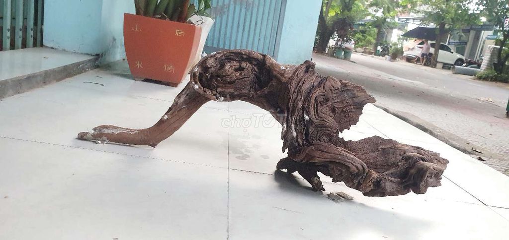 Lũa hồ cá. Mua bán Phụ kiện, Thức ăn, Dịch vụ tại Quận Cẩm Lệ Đà Nẵng được đăng bởi Hello hình 1