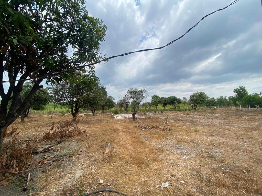 Đất xuân hưng 4600 m2