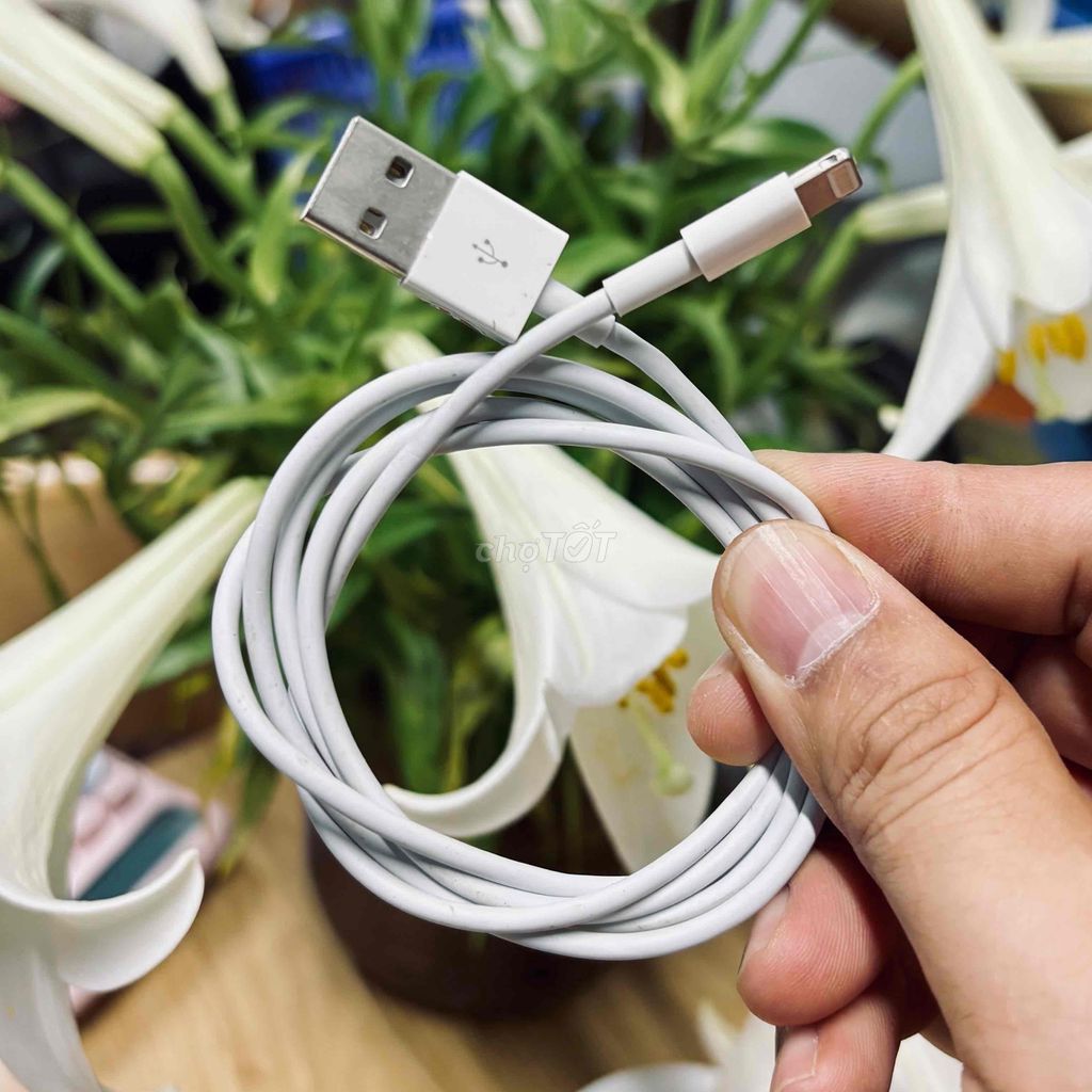 Thanh lý cáp sạc Lightning rẻ. Mua bán Phụ kiện (Màn hình, Chuột...) tại Quận 4 Tp Hồ Chí Minh được đăng bởi Lê Ẩn hình 4
