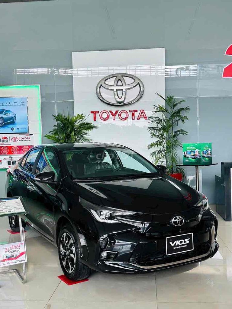 Ảnh số 8