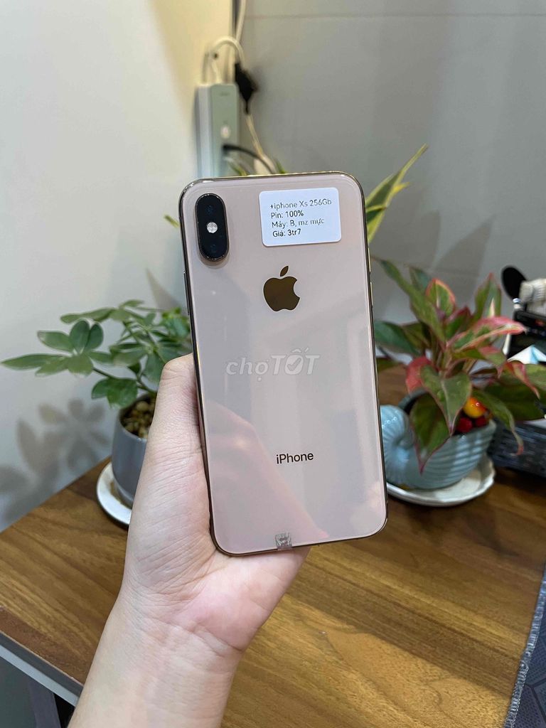 iPhone Xs 256GB KH/A Gold mực. Mua bán Điện thoại tại Huyện Hóc Môn Tp Hồ Chí Minh được đăng bởi Luân Hoài hình 1