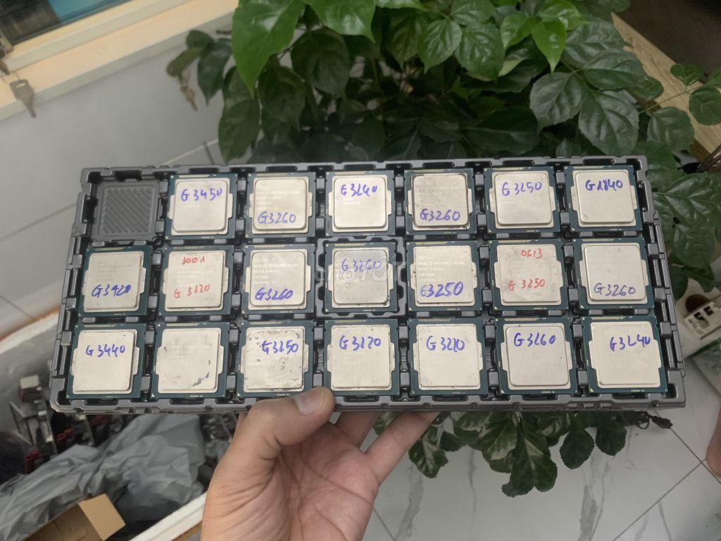 Ít CPU lắp main H81