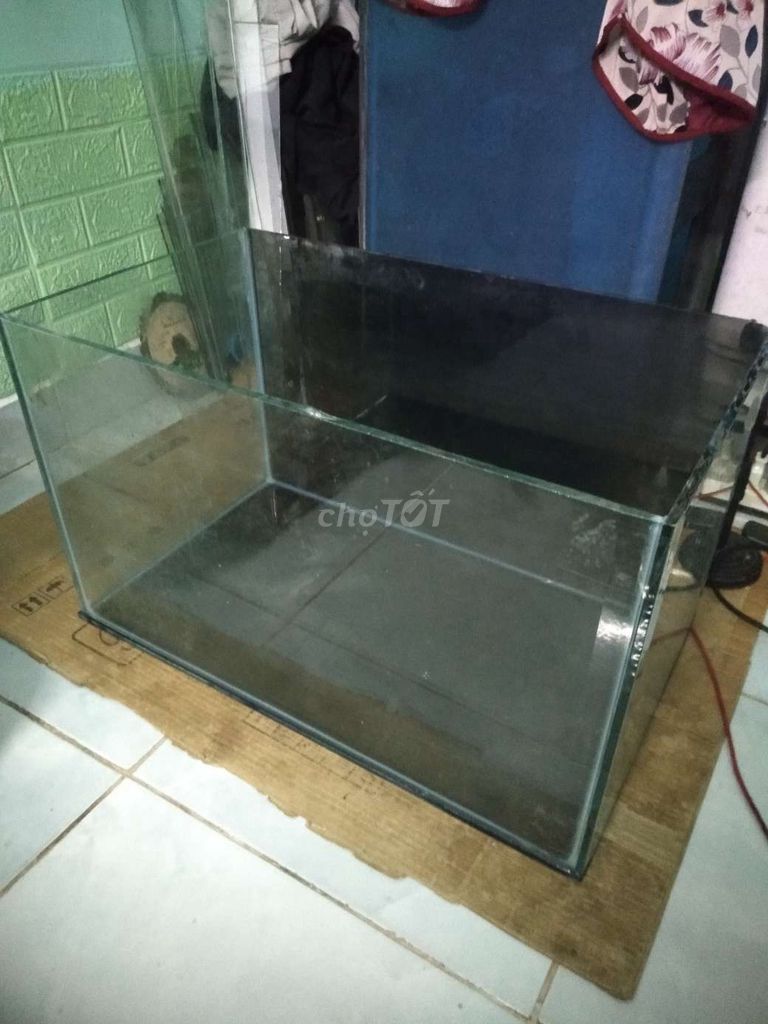 Hồ 60cm full 8li