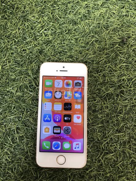 iPhone 5SE 64GB Vàng Quốc tế. Mua bán Điện thoại tại Quận 1 Tp Hồ Chí Minh được đăng bởi Hội Đồ Điện Tử hình 1