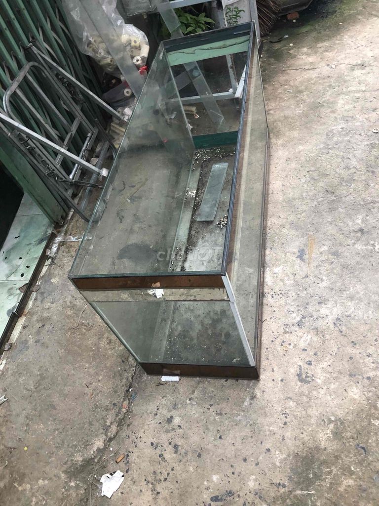 Hồ cá Kính 127x42x60cm Gãy kiềng hở keo. Mua bán Phụ kiện, Thức ăn, Dịch vụ tại Quận Bình Tân Tp Hồ Chí Minh được đăng bởi viet my hình 1