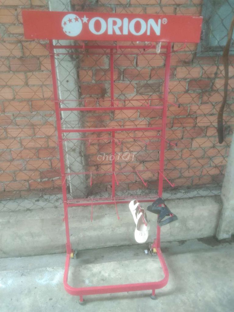 Mai kiểng cao 40cm. Mua bán Cây cảnh, đồ trang trí tại Huyện Hòa Thành Tây Ninh được đăng bởi Sang Ut hình 1