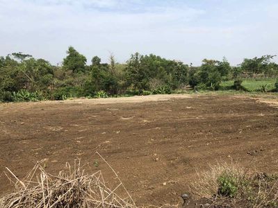 Đất Suối Nho, Định Quán, Đồng Nai, Sát Suối 12m. Mua bán đất tại Huyện Định Quán Đồng Nai được đăng bởi Tien Ha