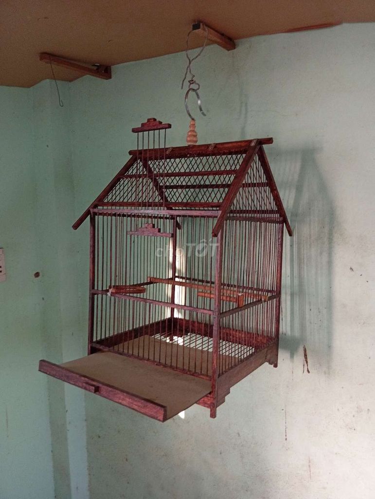 gl lồng bẫy chào mào. Mua bán Phụ kiện, Thức ăn, Dịch vụ tại Thị xã Tân Uyên Bình Dương được đăng bởi Lục Sư Huynh  hình 1