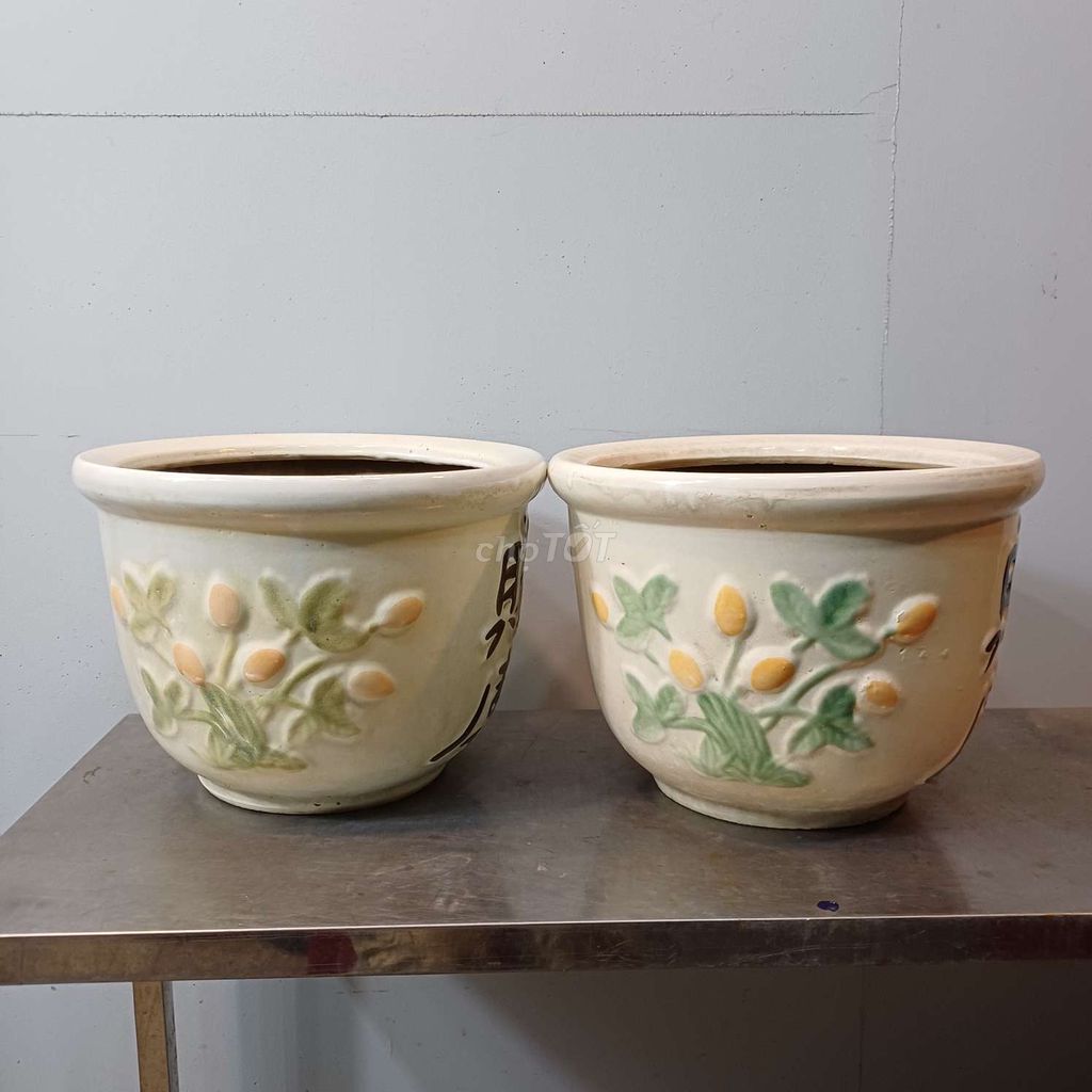 Cặp chậu xưa 1. Mua bán Cây cảnh, đồ trang trí tại Quận Tân Bình Tp Hồ Chí Minh được đăng bởi Bonsai và Chậu xưa hình 1