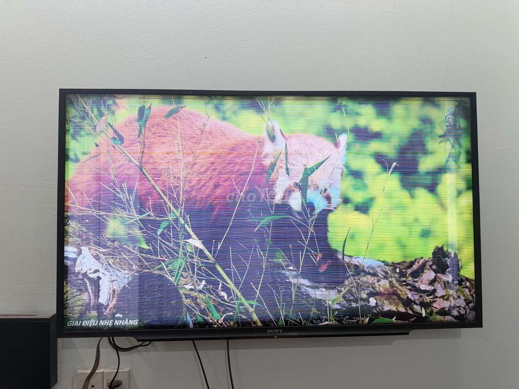 Tivi Sony 48 inch 2018 Đã qua sử dụng. Mua bán Tivi, Âm thanh tại Huyện Gia Bình Bắc Ninh được đăng bởi hương lan hình 1