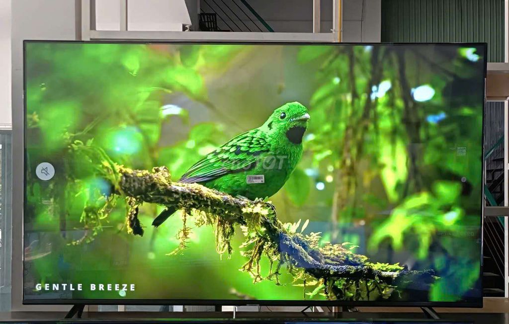 🚀 THANH LÝ TIVI SAMSUNG 4K 65 INCH 2024🚀. Mua bán Tivi, Âm thanh tại Quận Cẩm Lệ Đà Nẵng được đăng bởi Nguyễn Thị Ngọc hình 1