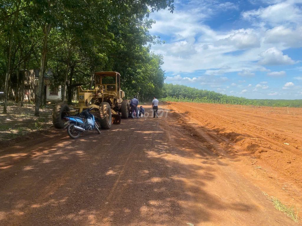 Bán đất nền 1000m2 gần ĐT 753, Tân Hòa, Đồng Phú, Bình Phước