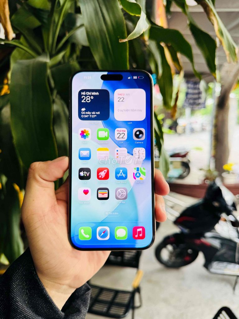 iPhone 16 Pro Max Quốc Tế 256GB Full Box Phụ Kiện. Mua bán Điện thoại tại Quận Gò Vấp Tp Hồ Chí Minh được đăng bởi Miễn Tiếp Cò Lái hình 1