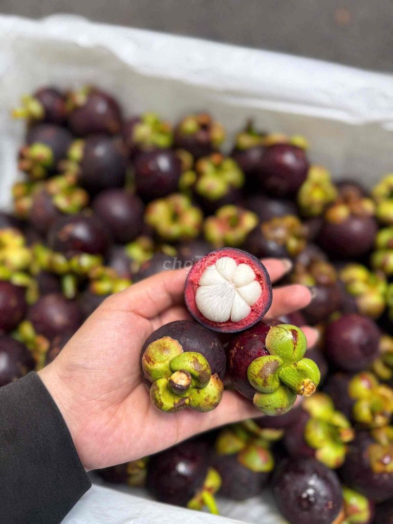 Măng cụt Thái Lan. Mua bán Đồ ăn, thực phẩm và các loại khác tại Quận Tân Phú Tp Hồ Chí Minh được đăng bởi Bảo Long Food  hình 1