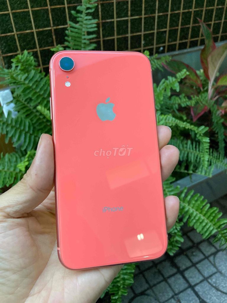 Apple iPhone XR 64GB Cam. Mua bán Điện thoại tại Quận Tân Bình Tp Hồ Chí Minh được đăng bởi Thành hình 1