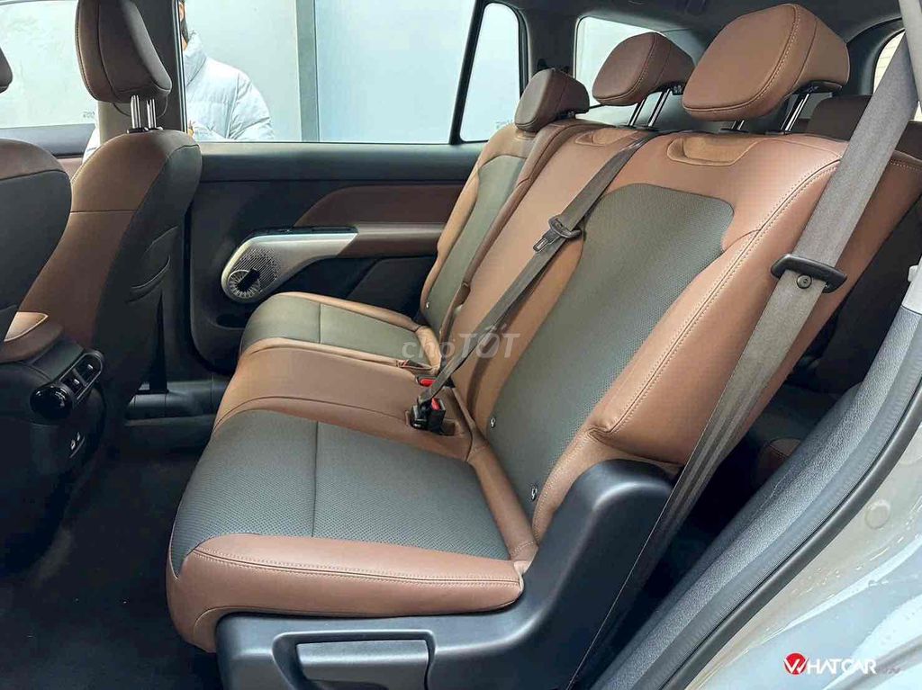 Vinfast Limo Green 2026 photo 4