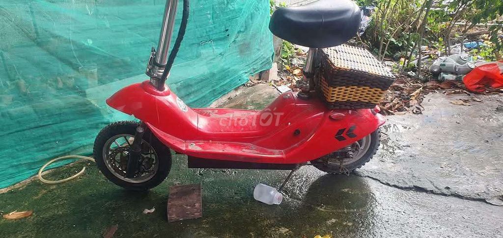 Xe scooter 12 in như hình