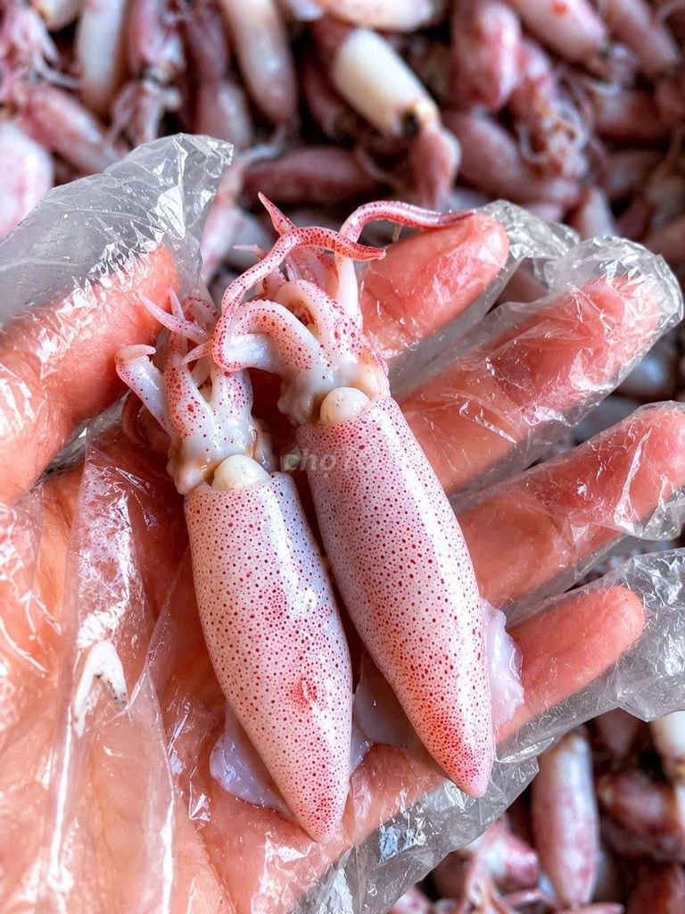 Mực hấp Quy Nhơn 1kg. Mua bán Đồ ăn, thực phẩm và các loại khác tại Huyện Củ Chi Tp Hồ Chí Minh được đăng bởi Teo hình 1
