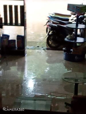 Nhà cấp 4 có gác lỡ, 2PN, 1Tolet, DT 104m2. hẻm 79 Nguyễn Đình Chiểu. Cho thuê nhà ở tại Thành phố Pleiku Gia Lai được đăng bởi Nguyễn Trọng Thực