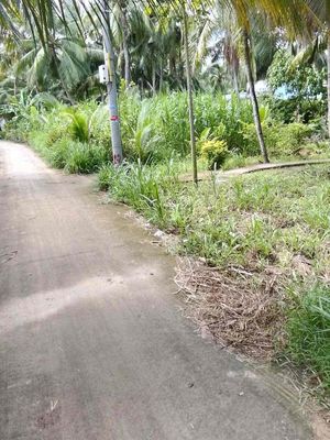 bán đất vườn giá rẻ