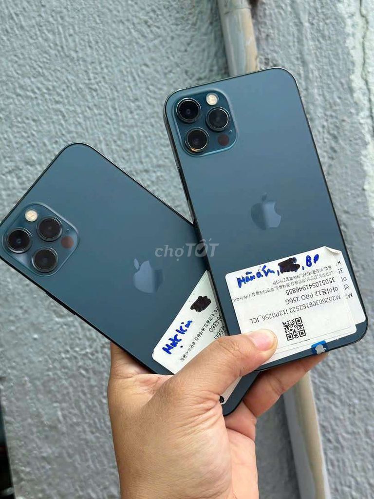 Apple iPhone 12 Pro 256GB Xanh Đã sử dụng. Mua bán Điện thoại tại Thành phố Biên Hòa Đồng Nai được đăng bởi Táo dạo hình 1