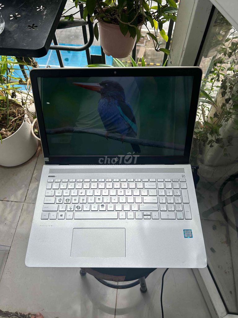 HP Pavilion i3 7100 15.6 inch 4GB/128GB Bạc. Mua bán Laptop tại Quận Hoàng Mai Hà Nội được đăng bởi Vũ Xuân Huy hình 1