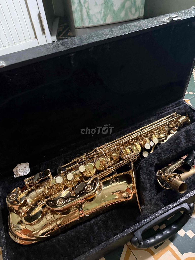 Kèn Saxophone Đồng Vàng Đồng Người mới bắt đầu. Mua bán Nhạc cụ tại Quận Hải Châu Đà Nẵng được đăng bởi Trần Bùi Thảo Nguyên hình 1
