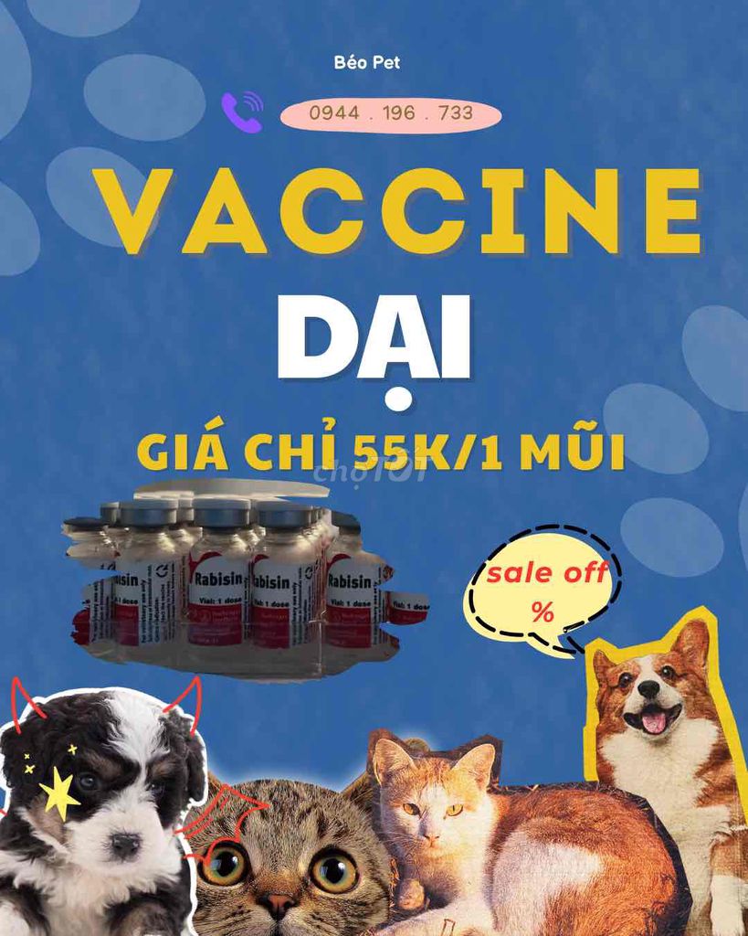 tiêm vaccine dại cho chó mèo 55k/1mũi. Mua bán Phụ kiện, Thức ăn, Dịch vụ tại Thành phố Thủ Đức Tp Hồ Chí Minh được đăng bởi tâm như hình 1