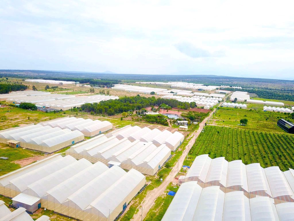 2ha khu farm Hòa Thắng, giá 3.8 tỷ, mặt tiền đường 91m