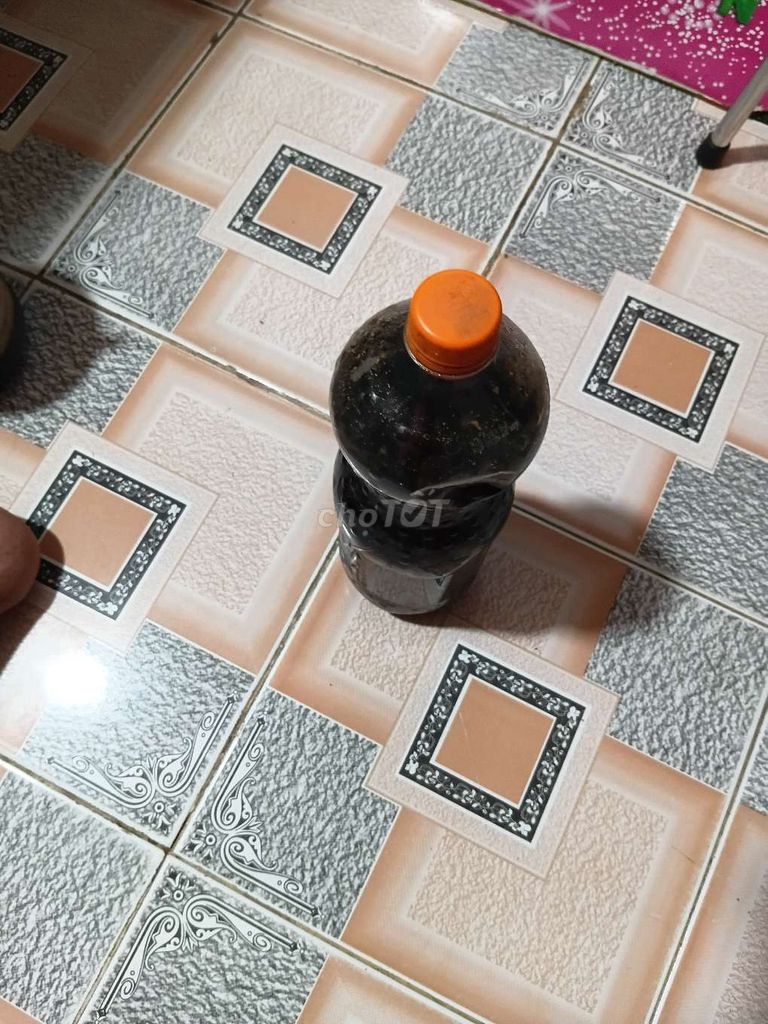 ong vò vẽ ngâm . Mua bán Đồ ăn, thực phẩm và các loại khác tại Thành phố Thủ Đức Tp Hồ Chí Minh được đăng bởi Phạm Thanh Sơn hình 1