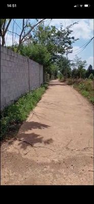 🌳 CẦN BÁN NHÀ VƯỜN ĐẸP 12.201,2m² TẠI BẢO BÌNH, CẨM MỸ, ĐỒNG NAI 🌳