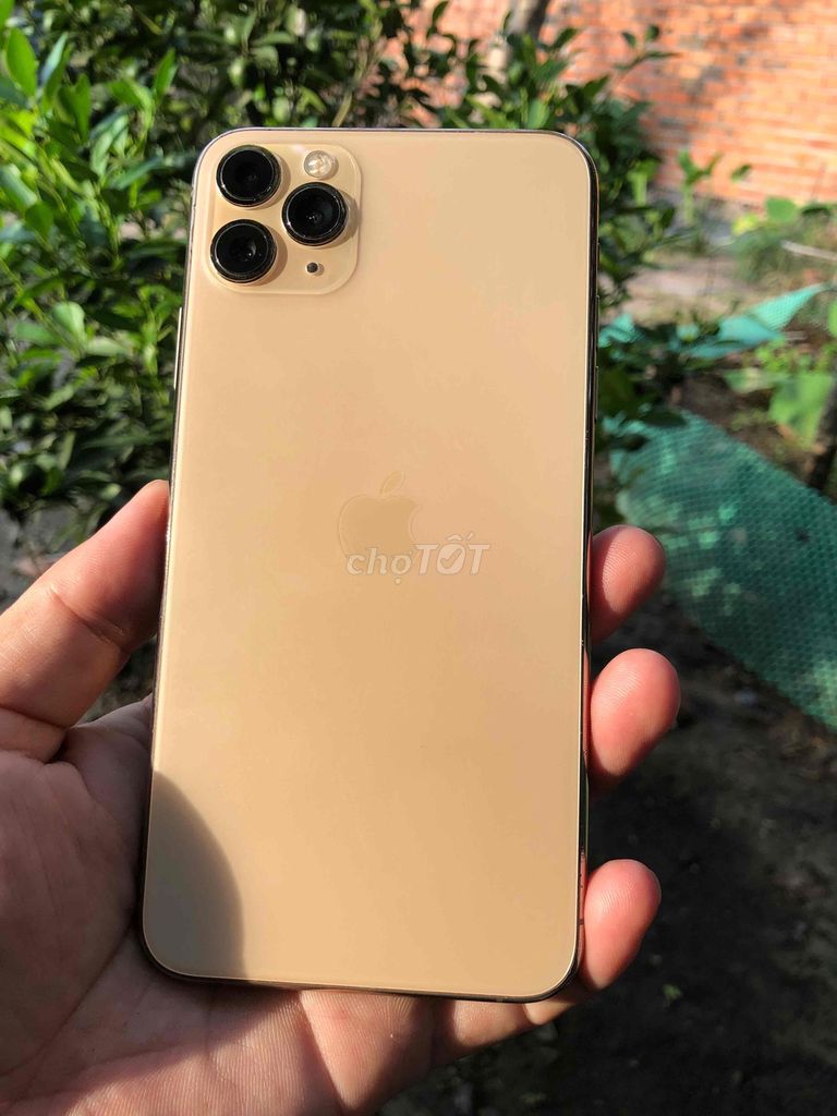 iPhone 11 Pro Max 64GB Vàng Đã sử dụng. Mua bán Điện thoại tại Huyện Trảng Bàng Tây Ninh được đăng bởi Phạm Gia hình 1