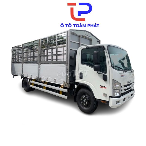 Ảnh số 6