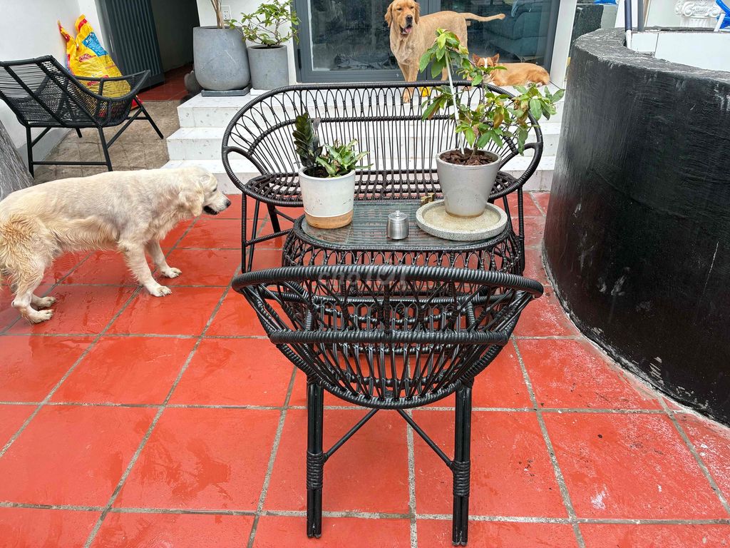 Bộ bàn ghế sân vườn Mây Đen Mới. Mua bán Bàn ghế tại Thành phố Thủ Đức Tp Hồ Chí Minh được đăng bởi Võ Thị Ngọc Trinh hình 1