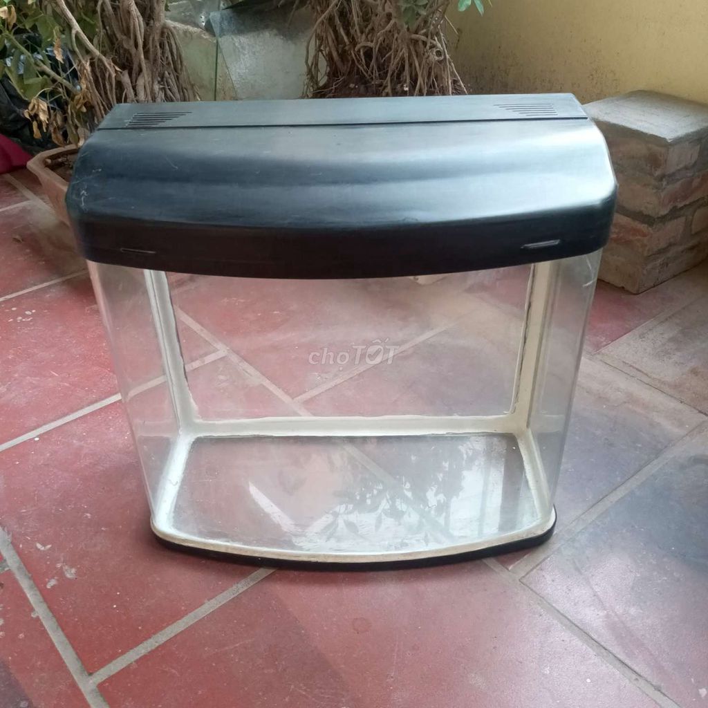 Bể cá đúc 45x45x25cm. Mua bán Phụ kiện, Thức ăn, Dịch vụ tại Huyện Đan Phượng Hà Nội được đăng bởi Mr Thang hình 1