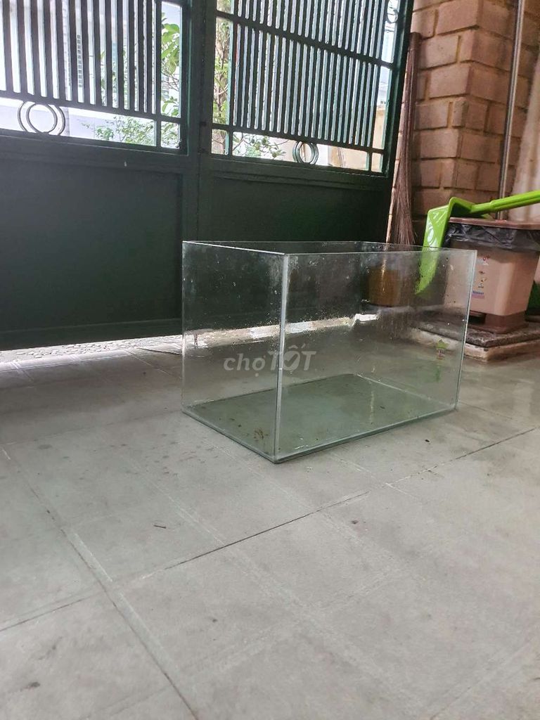 Hồ cá 45 cm  nuôi mọi loại cá to bự