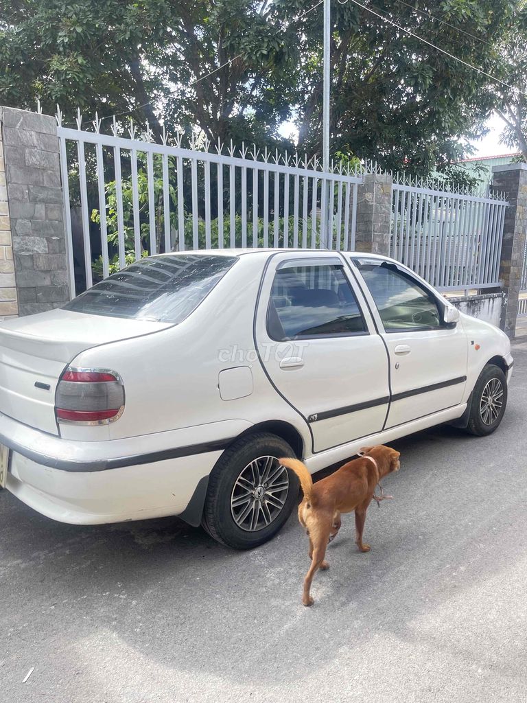 Ảnh số 7