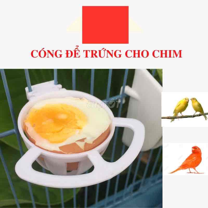 CÓNG ĐỰNG TRỨNG LUỘC CHO YẾN HÓT-THẠCH YẾN