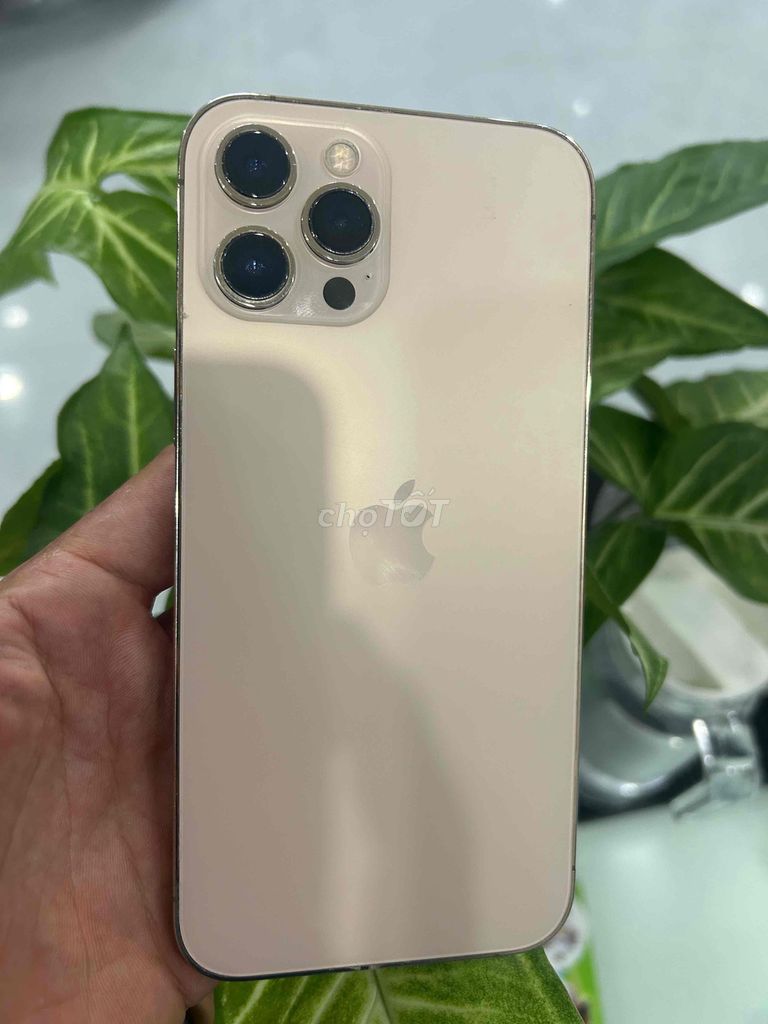 Apple iPhone 12 Pro Max 128GB Vàng. Mua bán Điện thoại tại Quận Bình Thuỷ Cần Thơ được đăng bởi HK286cmt8 hình 1