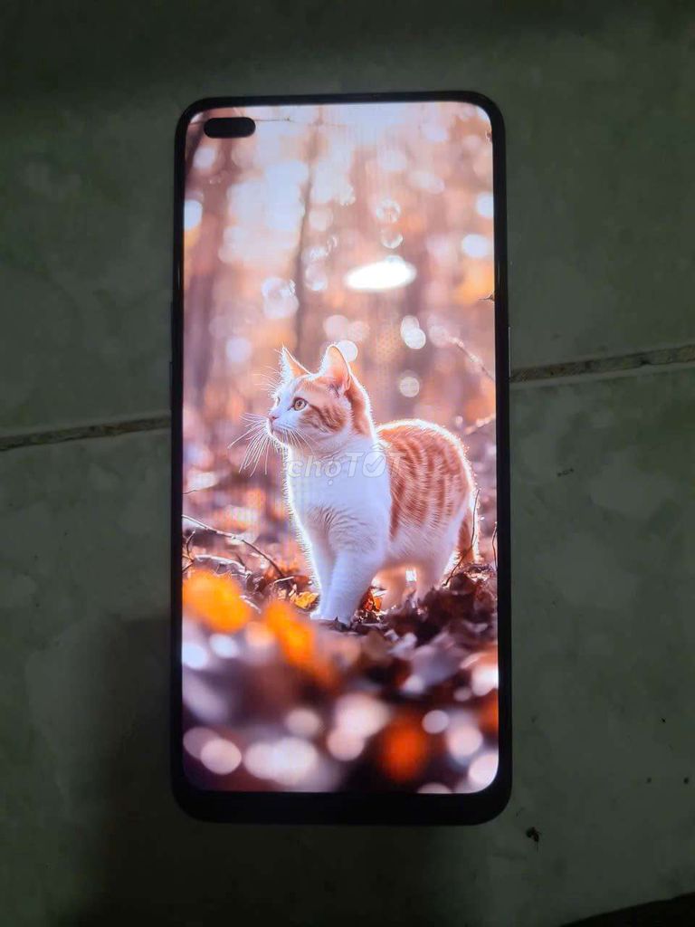 OPPO Reno4 128GB Xanh. Mua bán Điện thoại tại Quận 7 Tp Hồ Chí Minh được đăng bởi Thắng hình 1