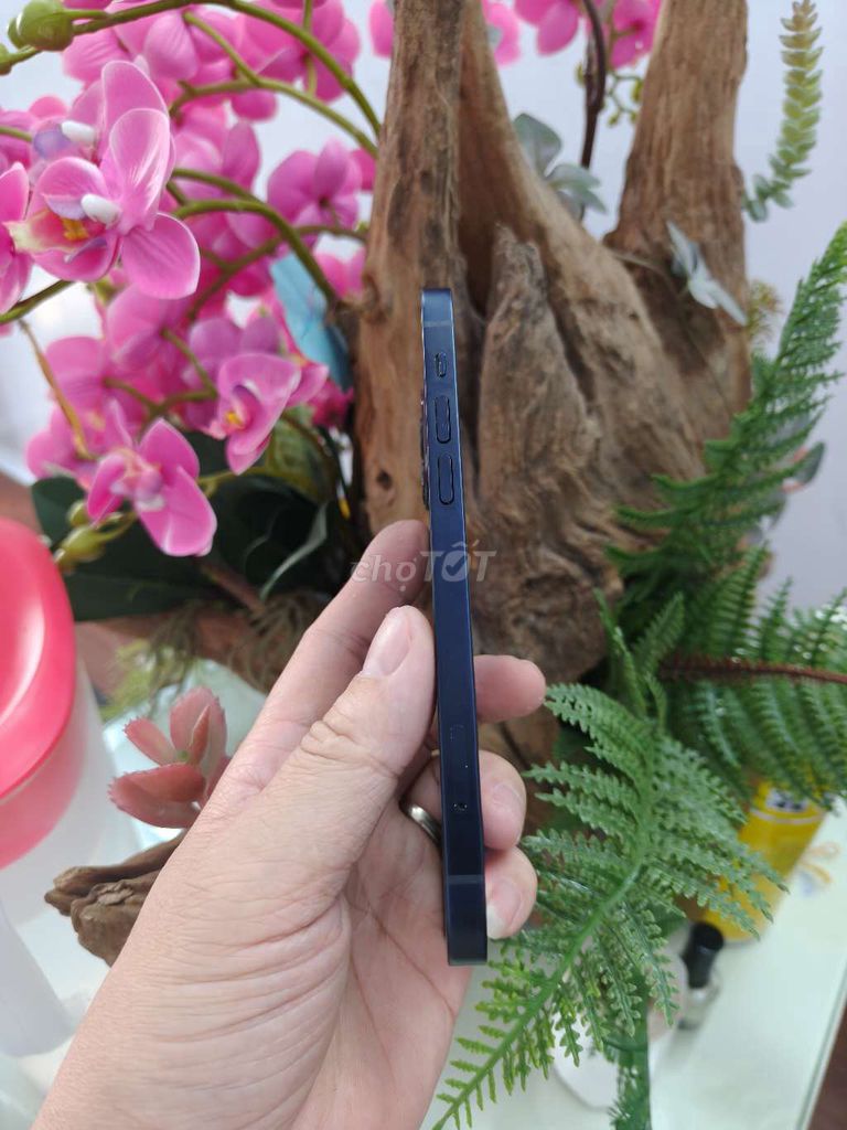iPhone 12 Xanh đen, 128gb quốc tế. Mua bán Điện thoại tại Thành phố Buôn Ma Thuột Đắk Lắk được đăng bởi Tèo Điện Thoại  hình 1